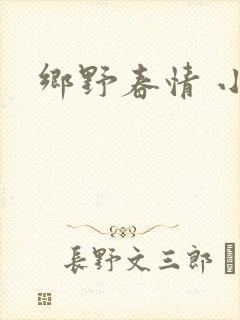 乡野春情 小说
