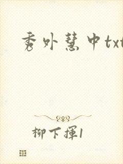 秀外慧中txt