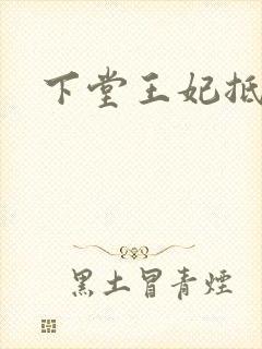 下堂王妃抵万金