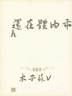 还在体内乖吃饭h