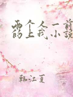 两个人一前一后的上我小说