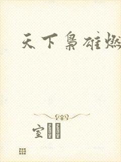 天下枭雄燃文