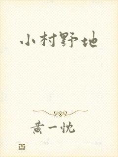小村野地