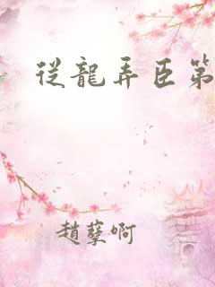 从龙弄臣第一次