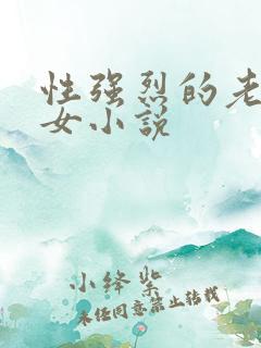 性强烈的老年妇女小说
