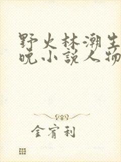 野火林潮生林晚晚小说人物野火