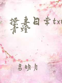 撩妻日常txt青灯