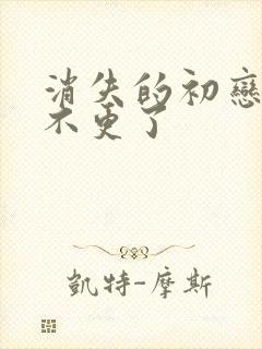 消失的初恋为啥不更了