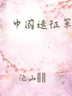 中国远征军下载