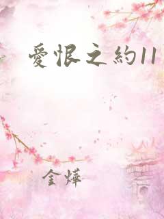 爱恨之约11