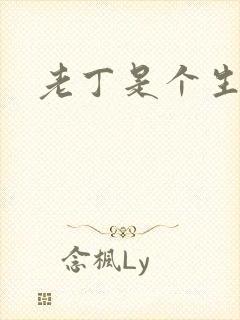 老丁是个生意人