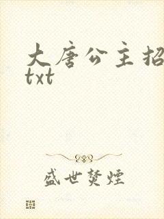 大唐公主招亲记txt