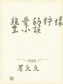 亲爱的柠檬精先生小说