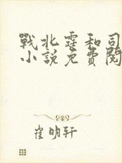 战北霆和司情的小说免费阅读