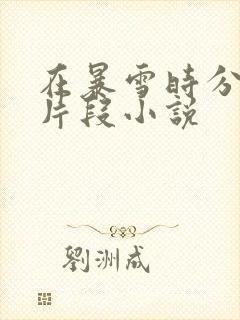 在暴雪时分高能片段小说