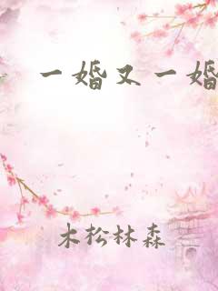 一婚又一婚