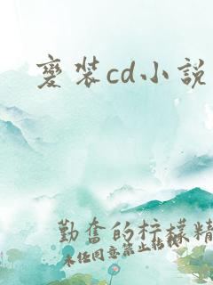 变装cd小说