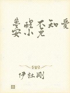 梦醒不知爱欢凉安小免