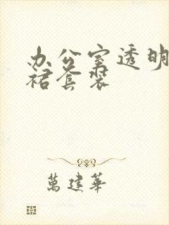 办公室透明半身裙套装