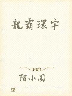 龙霸环宇