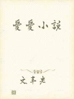 爱爱小说