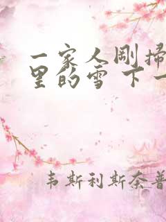 一家人刚扫完院里的雪 下一秒白干