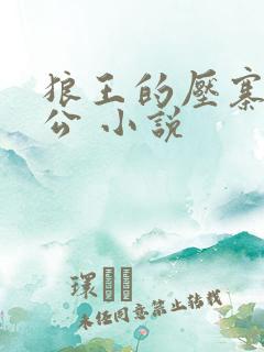 狼王的压寨小相公 小说