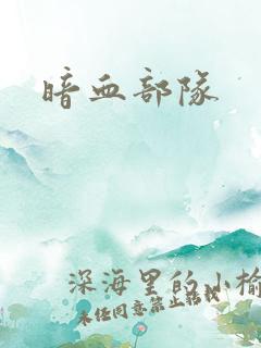 暗血部队