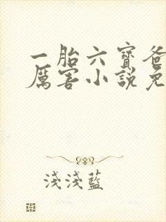 一胎六宝爸比好厉害小说免费阅读