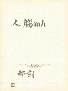 人脑mh