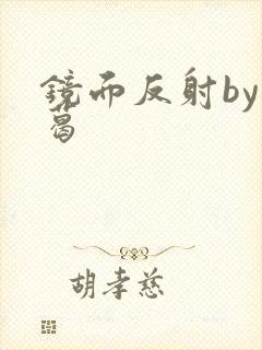 镜面反射by九葛