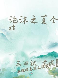 泡沫之夏全集txt