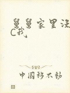 舅舅家里没人快C我