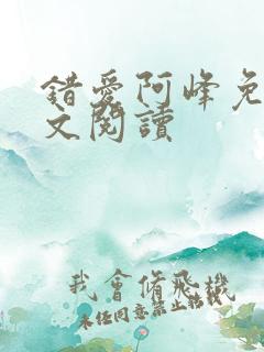 错爱阿峰免费全文阅读