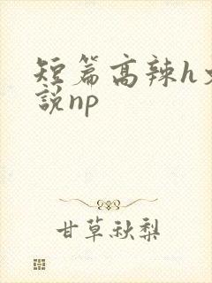 短篇高辣h文小说np