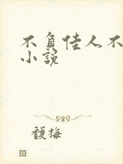 不负佳人不负卿小说