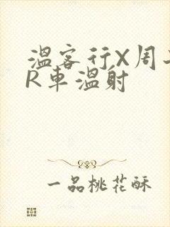 温客行X周子舒R车温射