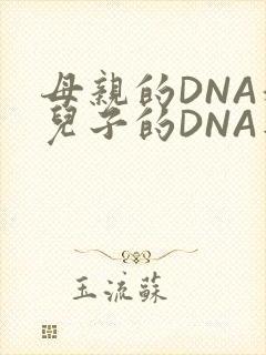 母亲的DNA和儿子的DNA是一样的吗