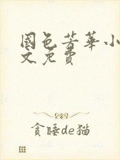 国色芳华小说全文免费