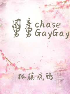 国产chase男男GayGay