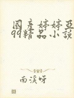 国产婷婷亚洲999精品小说