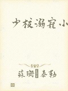 少校溺宠小小妻