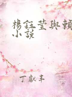 杨钰莹与赖昌星小说