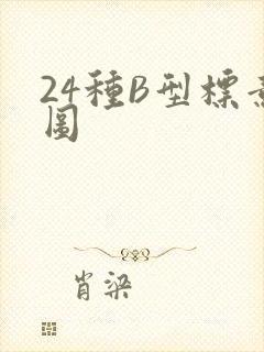 24种B型标意图