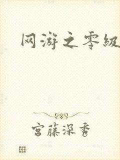 网游之零级神话