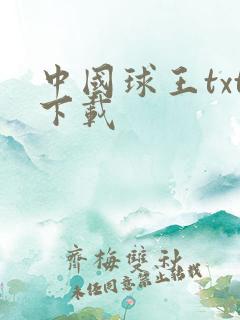 中国球王txt下载