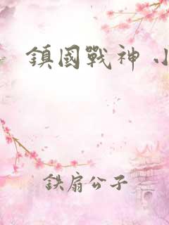 镇国战神 小说