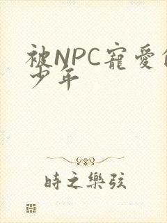 被NPC宠爱的少年