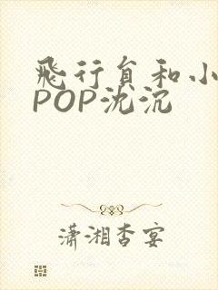 飞行员和小空乘POP沈沉