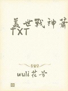 盖世战神萧破天TXT